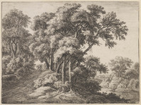 KG 04612
          <br/>
          De rustige boslaan
          <br/>
          <em>Waterloo, Anthonie, (1609-1690)</em>